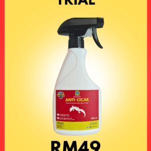 Pakej Trial